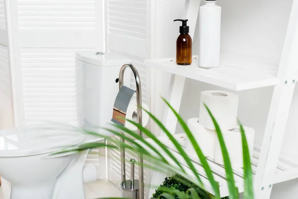 Interior de baño moderno blanco con inodoro cerca de la pantalla plegable, estante y palmera - foto de stock