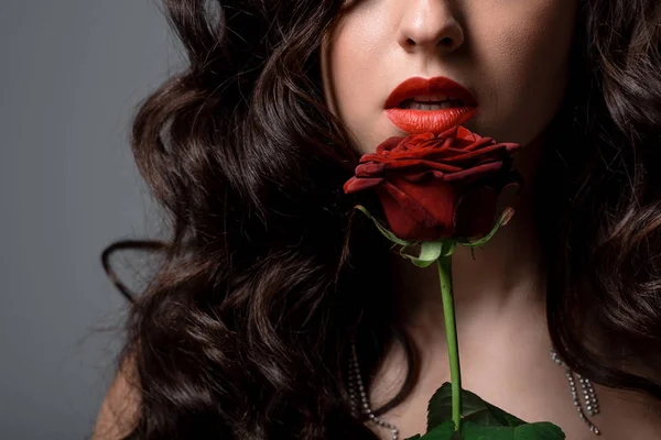 Corte vista de encaracolado morena menina segurando vermelho rosa, isolado no cinza — Fotografia de Stock