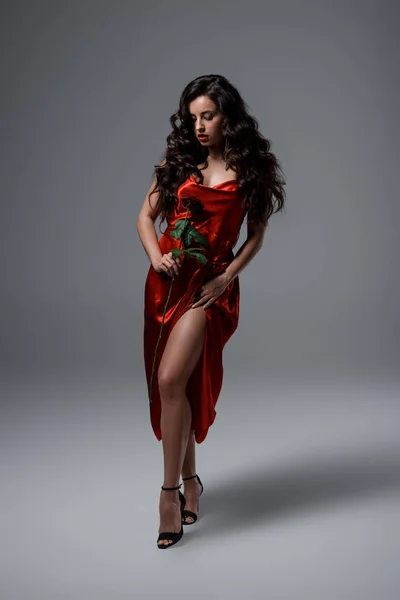 Чуттєва дівчина в червоній шовковій сукні тримає червону троянду на сірому — стокове фото