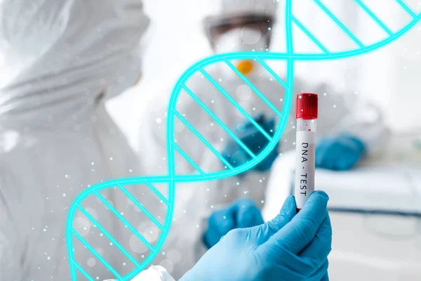 Selective focus of scientist and her african american colleague doing dna test and dna illustration — Stock Photo