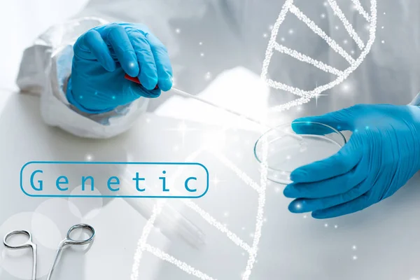 Vista recortada de científico haciendo prueba de ADN y sentado cerca de ilustración de ADN — Stock Photo