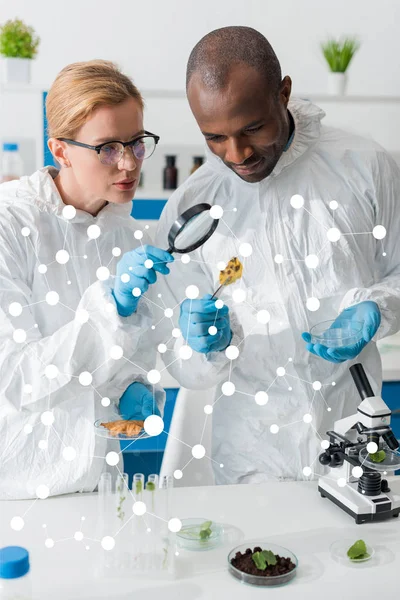Multicultural biologists looking through magnifier at leaf with illustration — Stock Photo