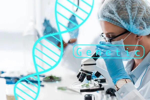 Selective focus of biologist looking through microscope and sitting near genetic illustration — Stock Photo