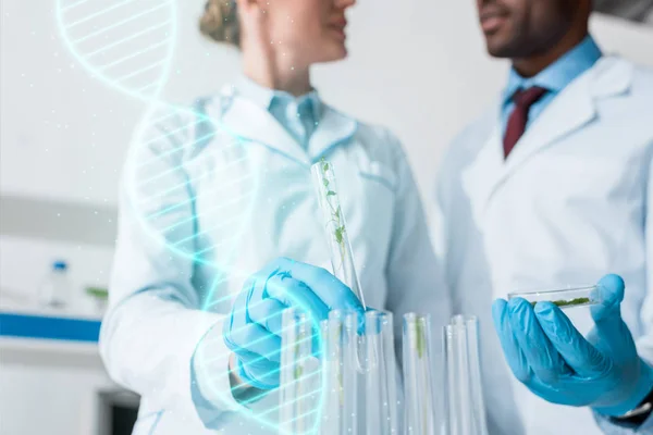 Cropped view of multicultural biologists holding test tubes with dna illustration — Stock Photo