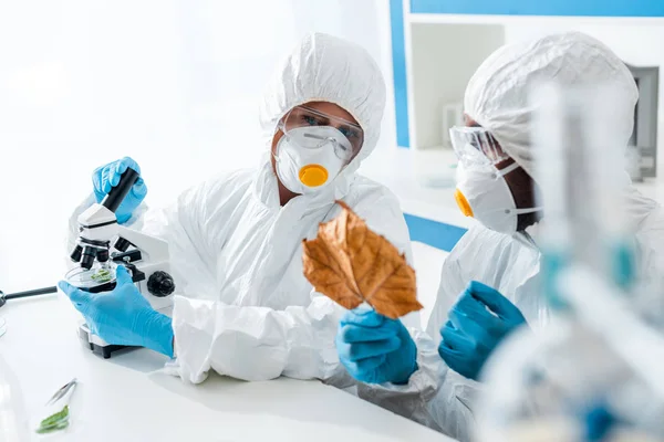 Selective focus of multicultural biologists looking at leaf in lab — Stock Photo