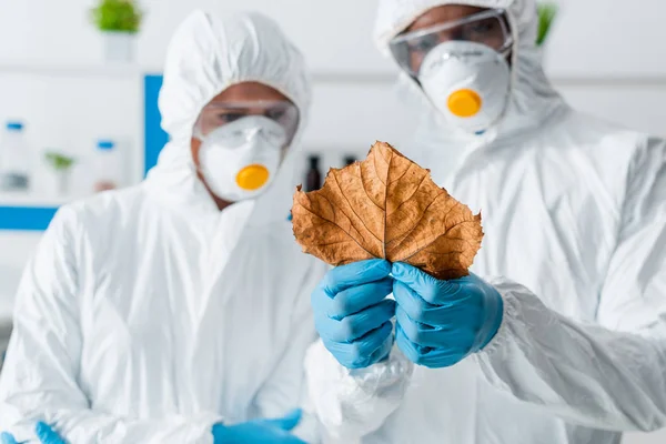 Selective focus of multicultural biologists looking at leaf in lab — Stock Photo