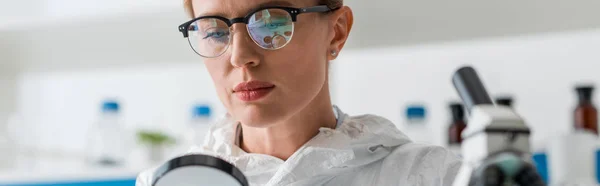 Panoramic shot of biologist holding magnifying glass in lab — Stock Photo