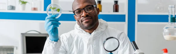 Plano panorámico de sonriente biólogo afroamericano sosteniendo lupa y hojas - foto de stock