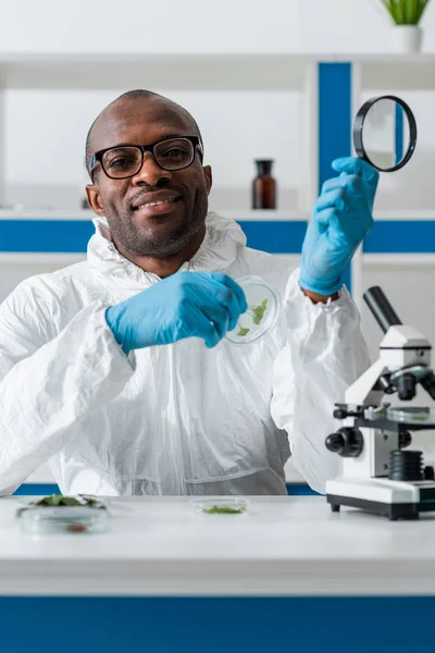 Biólogo afroamericano sonriente sosteniendo lupa y hojas - foto de stock