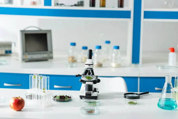Microscope, test tubes, leaves, magnifying glass and apple on table in lab — Stock Photo