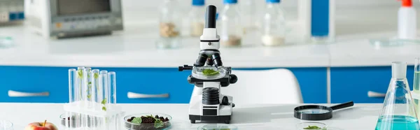 Panoramic shot of microscope, test tubes, leaves, magnifying glass on table in lab — Stock Photo