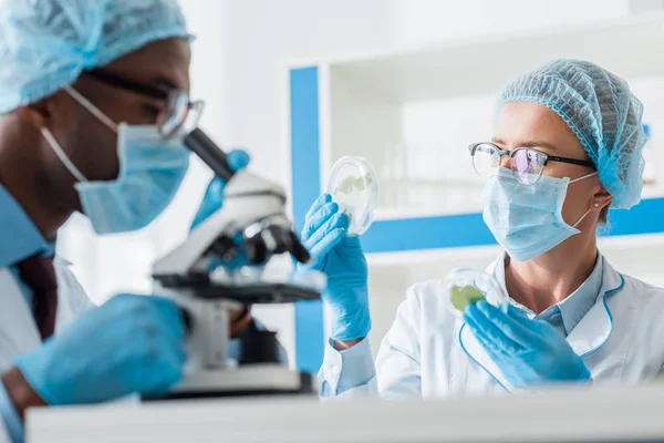 Foco seletivo do biólogo segurando folhas e colega afro-americano usando microscópio — Fotografia de Stock