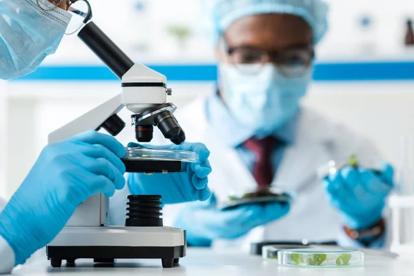 Cropped view of biologist using microscope and african american colleague looking at leaves — Stock Photo