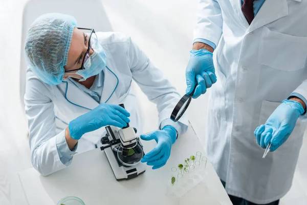 Vista aérea de biólogos multiculturales hablando en laboratorio - foto de stock