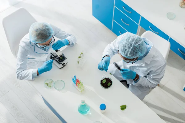 Overhead view of african american biologist looking at leaf with magnifier and his colleague using microscope — Stock Photo