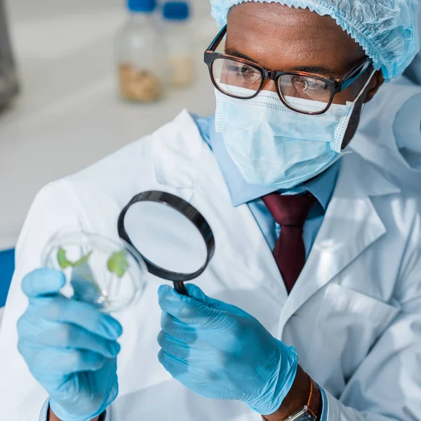 African american biologist looking at leaves with magnifying glass — Stock Photo