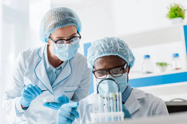 Multicultural biologists looking at leaves with magnifying glass — Stock Photo