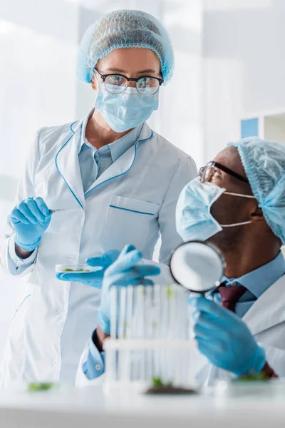 African american biologists talking with colleague and pointing with finger at test tubes — Stock Photo