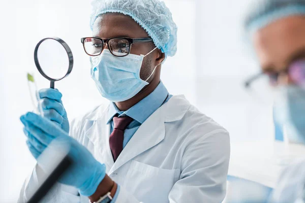 Selective focus of african american biologist looking at leaf with magnifying glass — Stock Photo