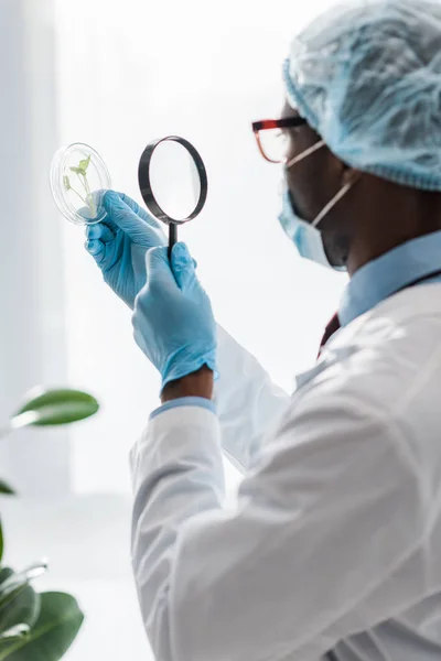 Selective focus of african american biologist looking at leaves with magnifying glass — Stock Photo