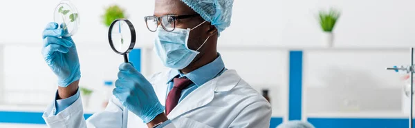 Panoramic shot of african american biologist looking at leaves with magnifying glass — Stock Photo