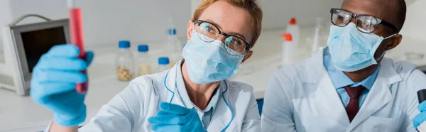 Panoramic shot of multicultural biologists looking at test tube in lab — Stock Photo