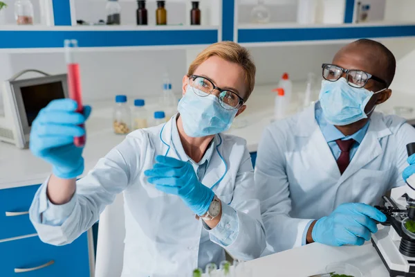 Concentration sélective des biologistes multiculturels qui étudient les éprouvettes en laboratoire — Photo de stock