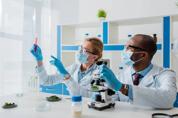 Biólogos multiculturais apontando com o dedo e olhando para tubo de ensaio em laboratório — Fotografia de Stock