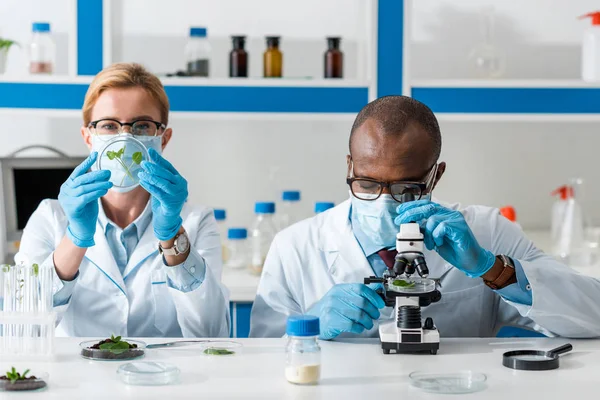 Африканский американский биолог, пользующийся микроскопом, и его коллега, глядя на листья — стоковое фото