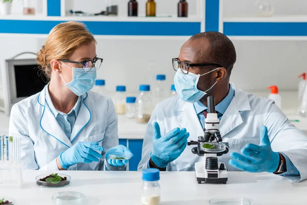 Biólogos multiculturais em casacos brancos e máscaras médicas falando em laboratório — Fotografia de Stock