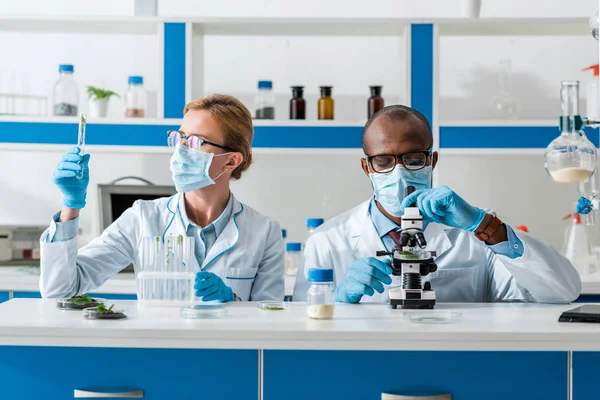 Biologiste afro-américain utilisant le microscope et son collègue regardant les feuilles — Photo de stock