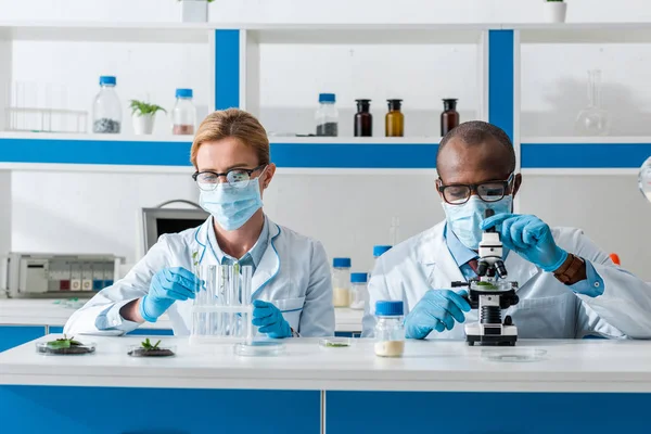 Biólogo afro-americano usando microscópio e seu colega olhando folhas em tubo de ensaio — Fotografia de Stock