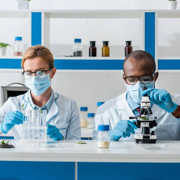Biólogo afro-americano usando microscópio e seu colega olhando folhas em tubo de ensaio — Fotografia de Stock