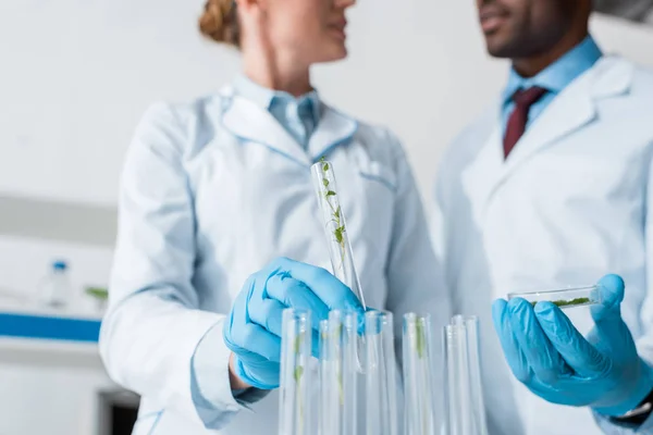 Visão cortada de biólogos multiculturais falando em laboratório — Fotografia de Stock