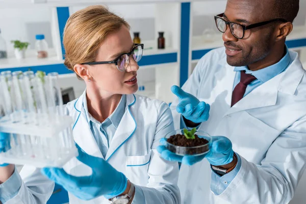 Multicultural biologists in white coats holding test tubes and talking in lab — Stock Photo