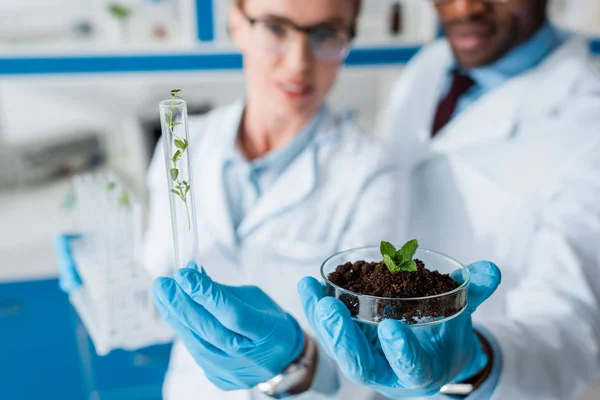 Selective focus of multicultural biologists looking at leaves in lab — Stock Photo