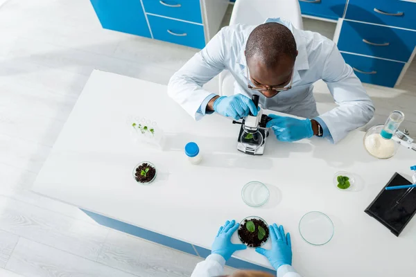 Vista aérea del biólogo afroamericano utilizando microscopio y hojas de mano de colegas - foto de stock