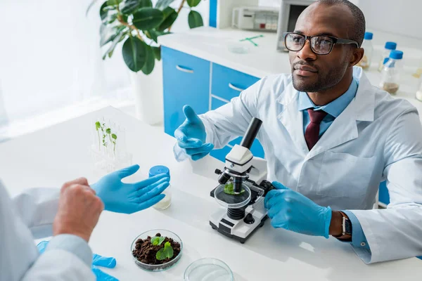 African american biologist sitting at table and looking at his colleague — Stock Photo