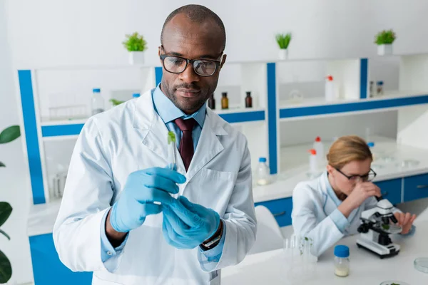 Selective focus of african american biologist holding test tube and colleague using microscope on background — Stock Photo