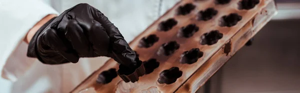 Tiro panorâmico chocolatier segurando doces de chocolate perto da bandeja de gelo — Fotografia de Stock