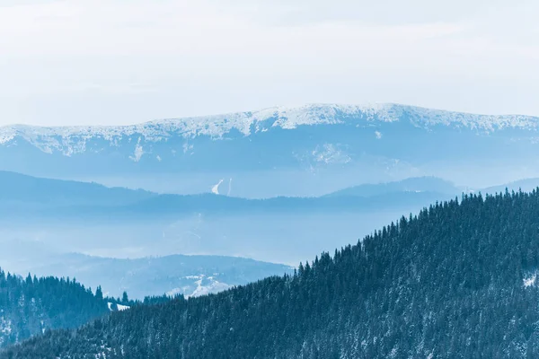 Vista panorámica de las montañas nevadas con pinos y nubes blancas esponjosas - foto de stock