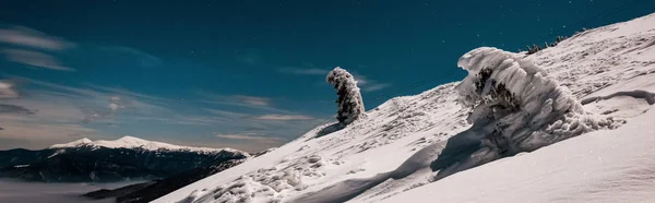 Мальовничий вид на засніжену гору з сосновими деревами і білими пухнастими хмарами в темне небо ввечері, панорамний знімок — стокове фото