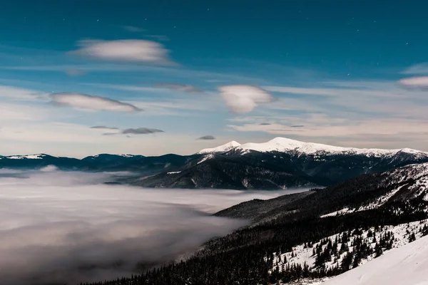 Malerischer Blick auf schneebedeckte Berge mit Kiefern und weißen, flauschigen Wolken am dunklen Himmel am Abend — Stockfoto