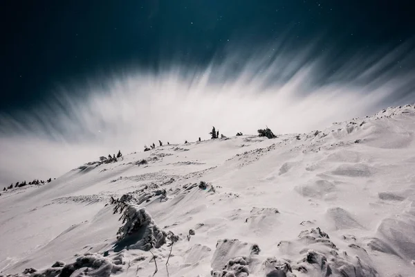 Живописный вид горы, покрытой снегом и соснами против темного неба вечером с белым облаком — стоковое фото