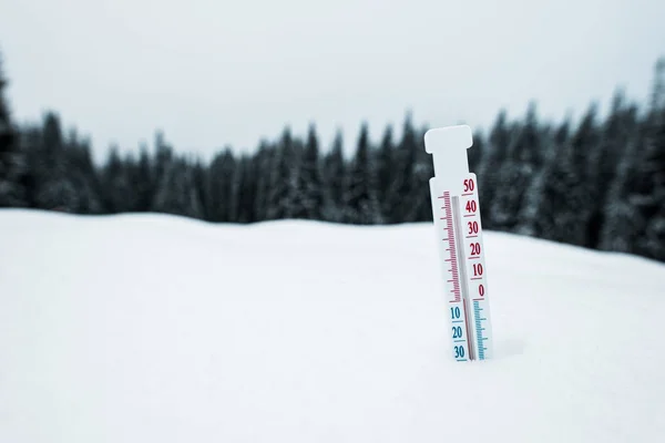 Thermometer in mountains covered with snow with pine trees — Stock Photo