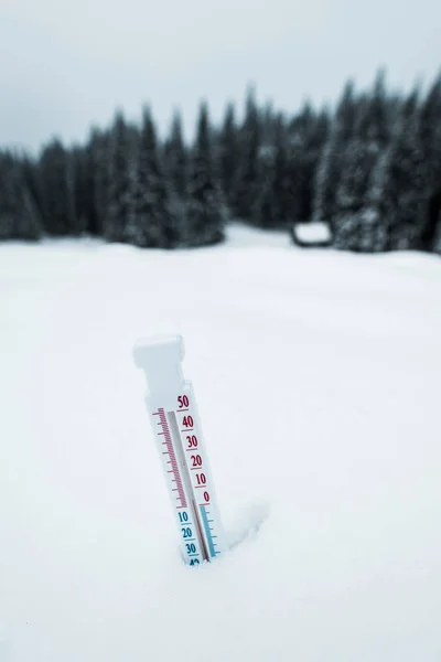 Thermometer in mountains covered with snow with pine trees — Stock Photo