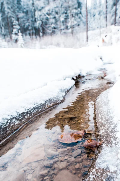 Fluxo de montanha clara com pedras que fluem através da neve branca — Fotografia de Stock