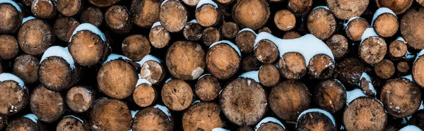 Stack of wooden logs covered with pure snow, panoramic shot — Stock Photo