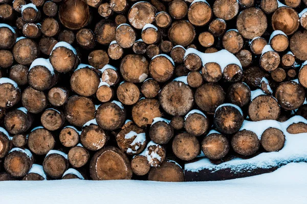 Pilha de troncos de madeira cobertos com neve pura — Fotografia de Stock