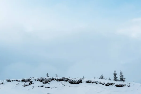 Живописный вид на снежный холм с соснами и белыми пушистыми облаками — стоковое фото